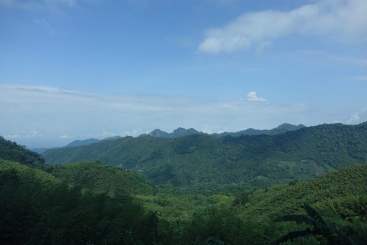 Landschaft Alishan Taiwan